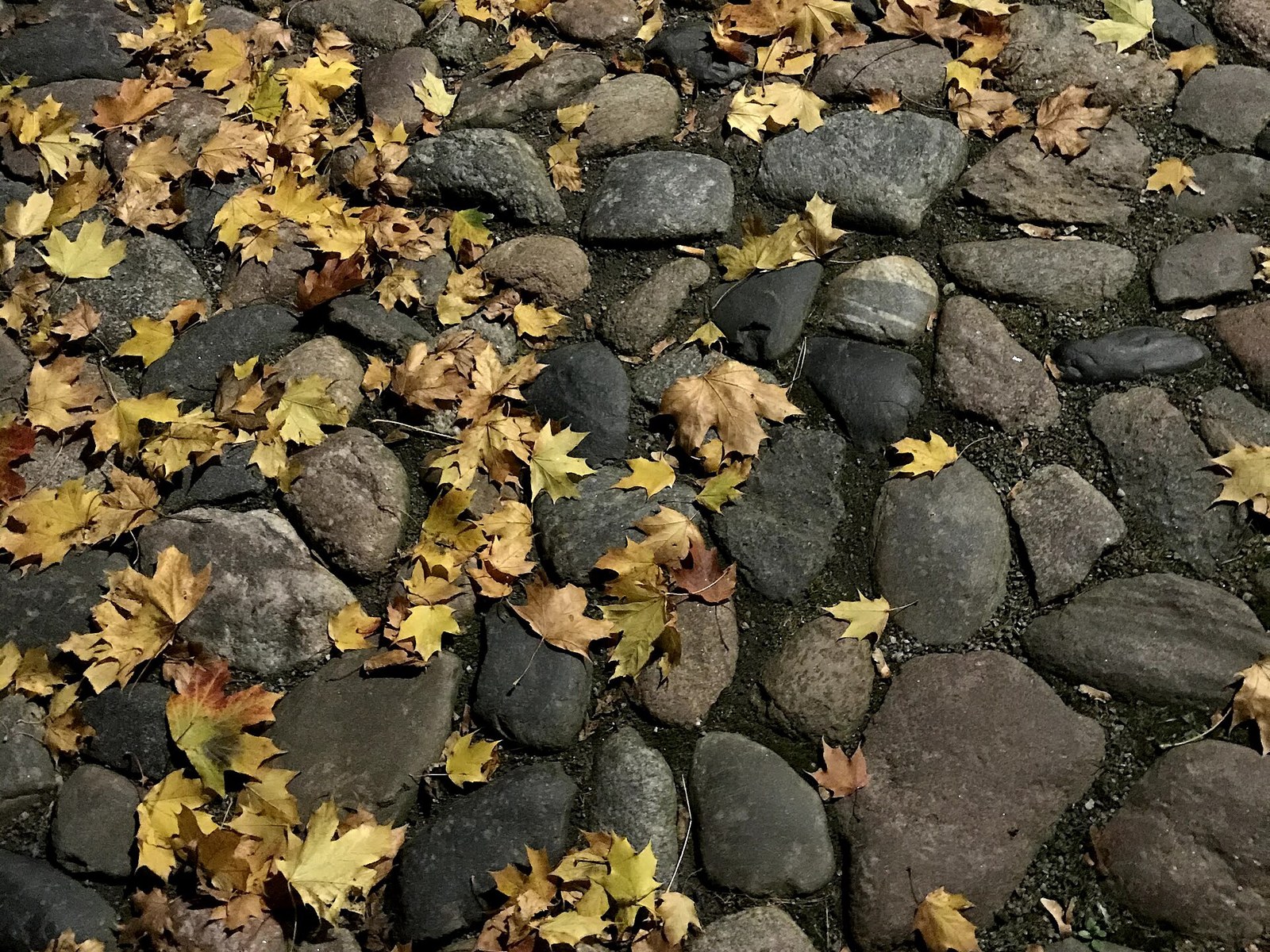 Tallinna vanalinna munakivisillutis